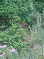 Image file: photo04.jpg