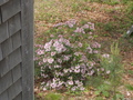Image file: photo03.jpg