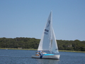 Image file: photo17.jpg