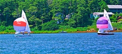 Image file: photo081.jpg