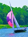 Image file: _5/photo103.jpg