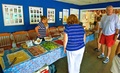 Image file: _5/photo118.jpg