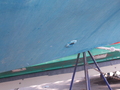 Image file: _2/photo23.jpg