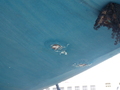 Image file: _2/photo27.jpg