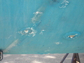 Image file: _2/photo28.jpg