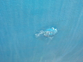 Image file: _2/photo29.jpg