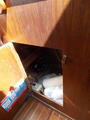 Image file: _1/photo05.jpg