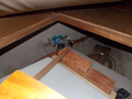 Image file: _3/photo52.jpg