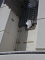 Image file: _2/photo29.jpg