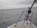 Image file: photo03.jpg