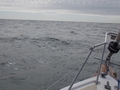 Image file: photo04.jpg