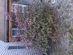 Image file: photo01.jpg