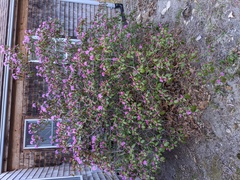 Image file: photo02.jpg