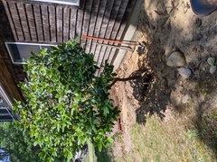 Image file: photo02.jpg