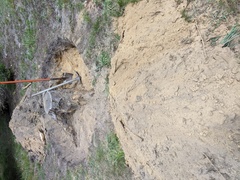 Image file: photo01.jpg