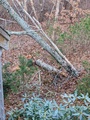 Image file: photo01.jpg