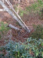 Image file: photo01.jpg