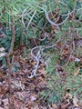 Image file: photo03.jpg