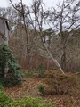 Image file: photo01.jpg