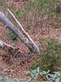 Image file: photo03.jpg