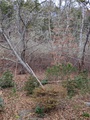 Image file: photo05.jpg