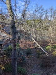 Image file: photo06.jpg