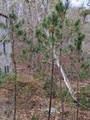 Image file: photo02.jpg