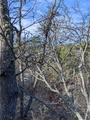 Image file: photo05.jpg