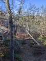 Image file: photo06.jpg