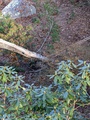Image file: photo07.jpg