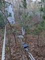 Image file: photo09.jpg