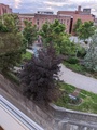 Image file: photo02.jpg