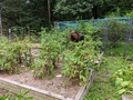 Image file: photo04.jpg
