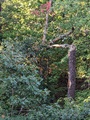 Image file: photo01.jpg