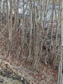 Image file: photo03.jpg