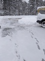 Image file: photo04.jpg
