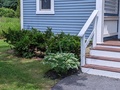 Image file: photo01.jpg