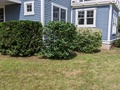 Image file: photo04.jpg