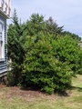 Image file: photo05.jpg