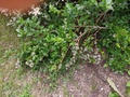 Image file: photo01.jpg