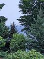 Image file: photo03.jpg