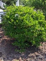 Image file: photo02.jpg