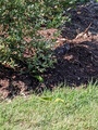Image file: photo02.jpg