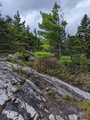 Image file: photo03.jpg