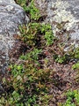 Image file: photo09.jpg