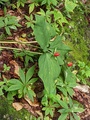 Image file: photo13.jpg