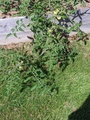 Image file: photo02.jpg