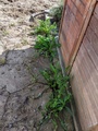 Image file: photo01.jpg