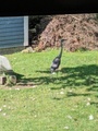 Image file: photo05.jpg