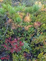 Image file: photo15.jpg
